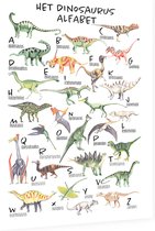 Educatieve poster (Dibond) - Taal het dinosaurus alfabet - 60 x 80 cm