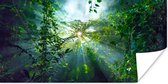 Poster Zonlicht schijnt op een grot in het regenwoud van Maleisië - 80x40 cm