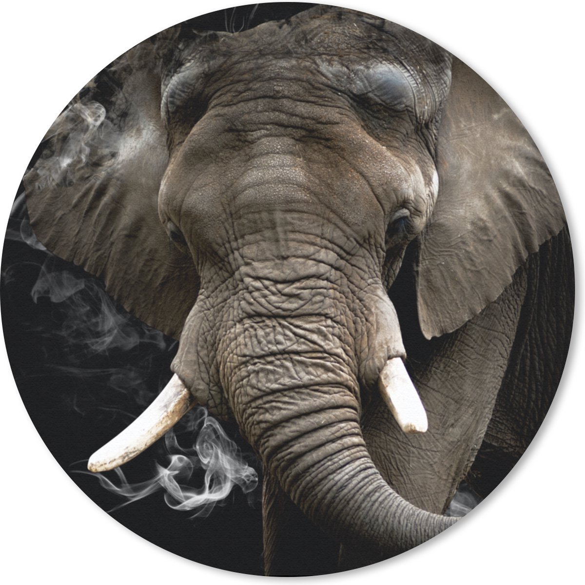 Muismat rond 30x30 cm - Mousepad Olifant - Rook - Tanden - Ronde muismatten