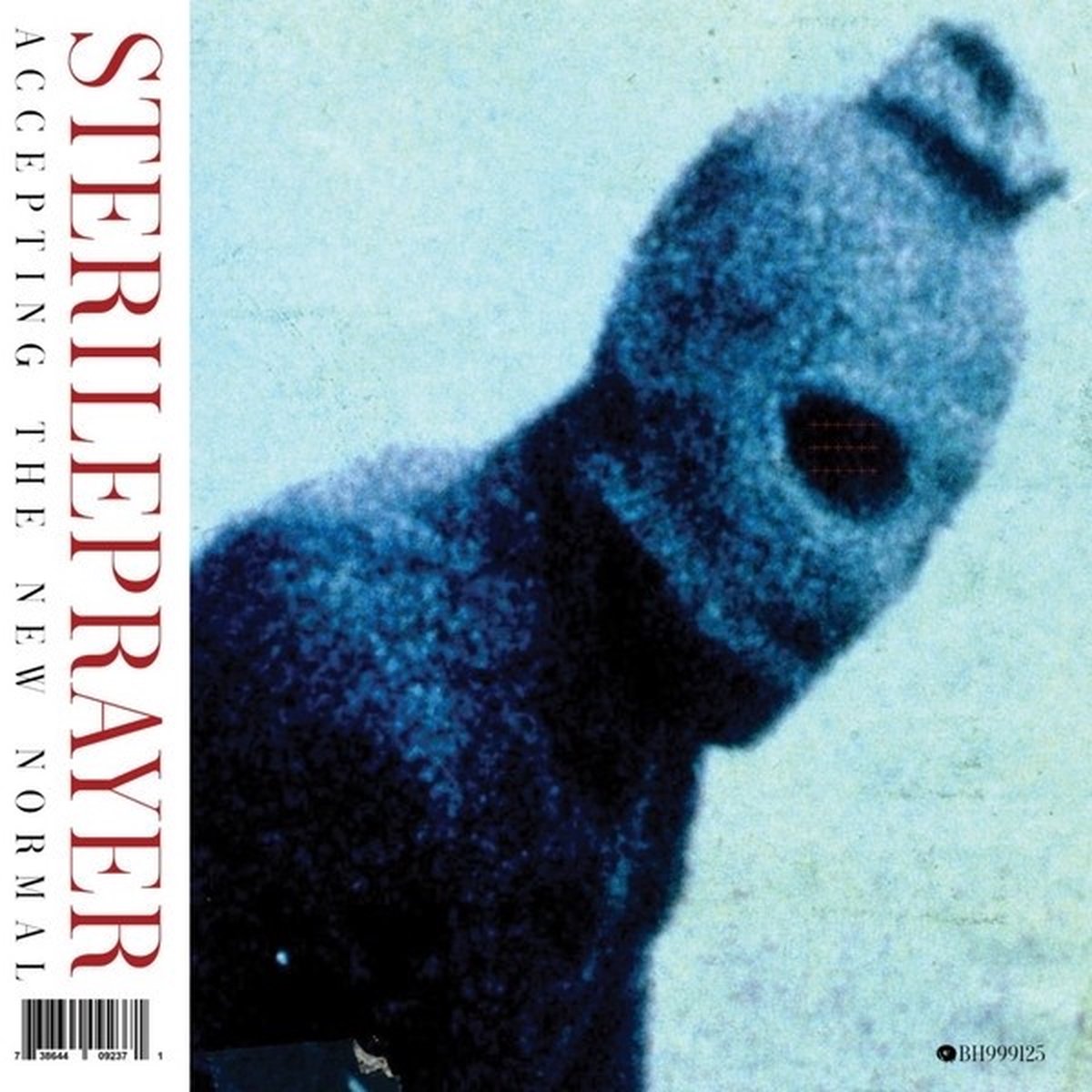 Sterileprayer - Accepting the New Normal (LP) (Limited Edition)