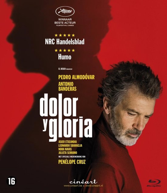 Dolor Y Gloria (Blu-ray)