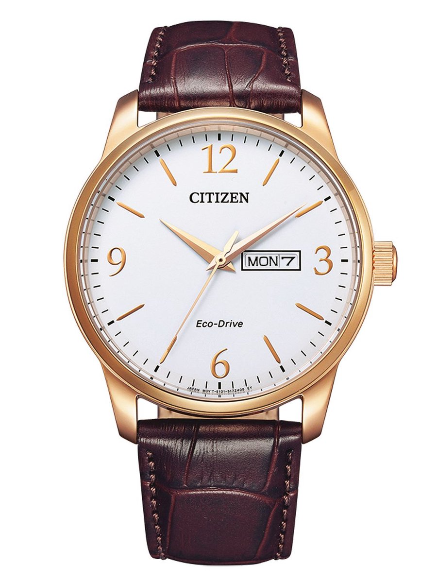 Citizen BM8553-16AE Horloge - Leer - Bruin - Ø 41 mm