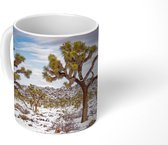 Mok - Sneeuw in Joshua Tree National Park - 350 ML - Beker