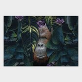 Artistic Lab Poster - Jungle Orangutan - 250 X 240 Cm - Multicolor