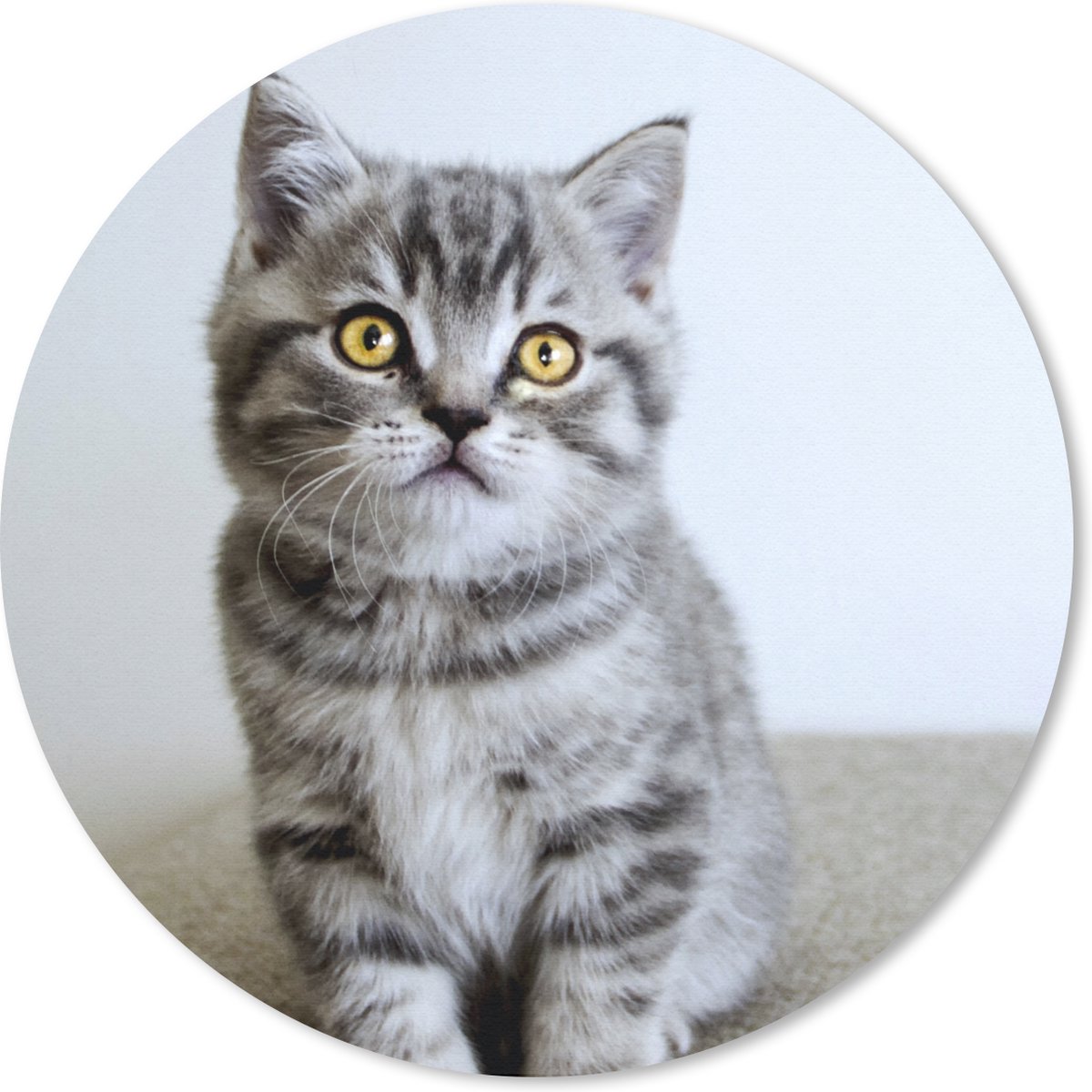 Muismat rond 50x50 cm - Mousepad Kitten - Ogen - Geel - Meisjes - Kinderen - Jongens - Kids - Ronde muismatten