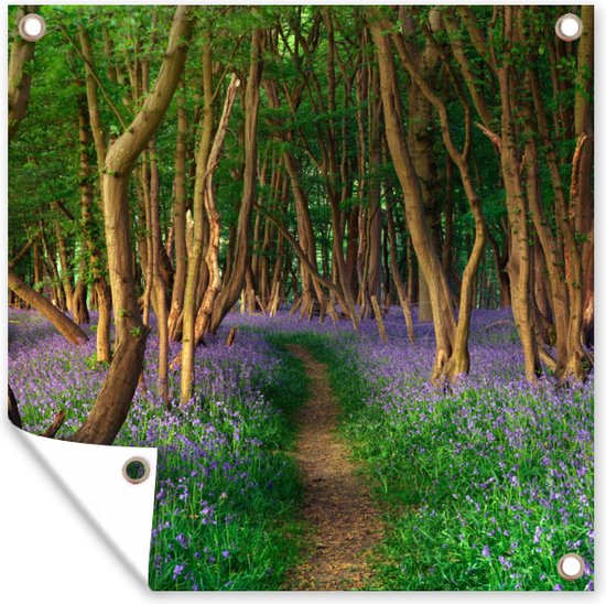 Tuinposter – Witte Sneeuwklokjes Bloemen in het Bos tijdens de Winter - 100x100 cm