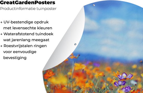 Garden Circle Cosmos - Couleurs - Printemps - 90x90 cm - Affiche Jardin