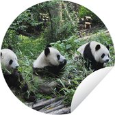 Tuincirkel Panda - Natuur - Bamboe - 120x120 cm - Ronde Tuinposter - Buiten XXL / Groot formaat!