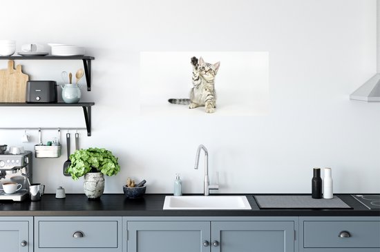 Stickers muraux - Chaton - Patte - Wit - 80x40 cm - Film Adhésif