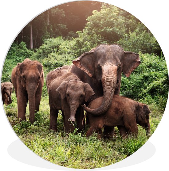 Cercle mural - Cercle mural Indoor - ⌀ 30 cm - Plastique - Éléphants sauvages