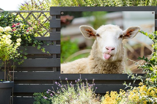 Tuinposter - Tuindoek - Tuinposters buiten - Schaap - Dieren - Wol - 120x80 cm - Tuin