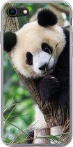 Geschikt voor iPhone 8 hoesje - Panda - Dieren - Jungle - Natuur - Siliconen Telefoonhoesje