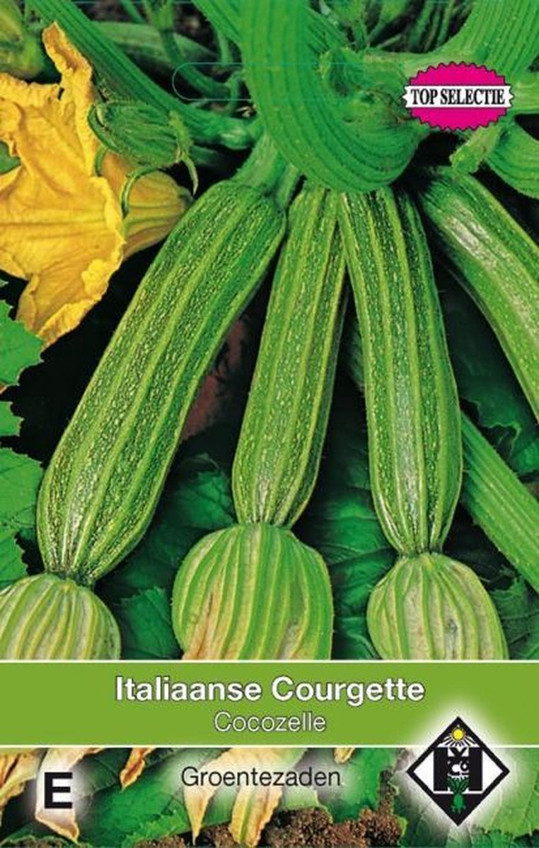 Van Hemert & Co - Courgette Cocozelle (Cucurbita pepo)