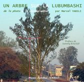 Un arbre sur la Lubumbashi