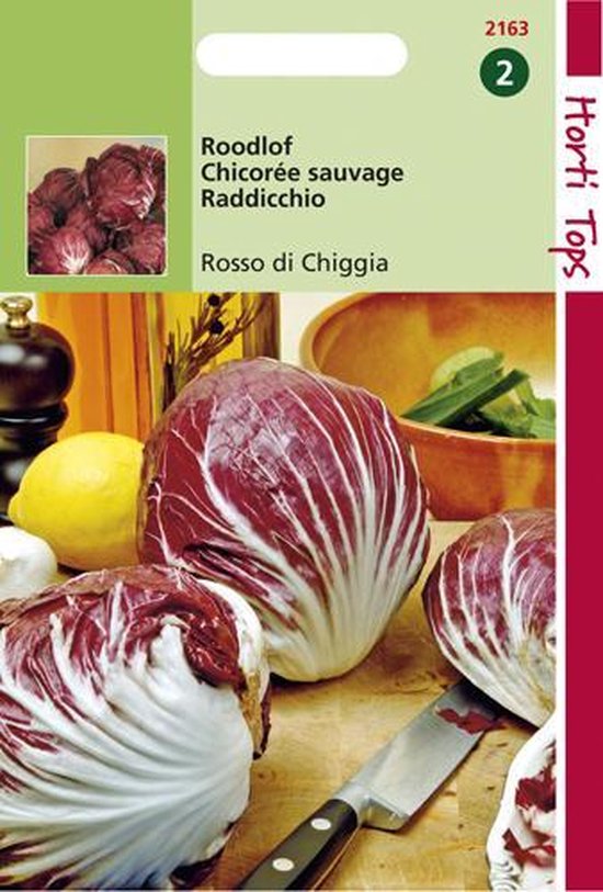 Foto: Hortitops zaden radicchio rosso di chioggia palla rossa 5