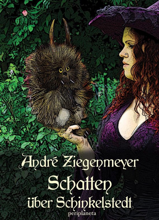 Schatten über Schinkelstedt - cover
