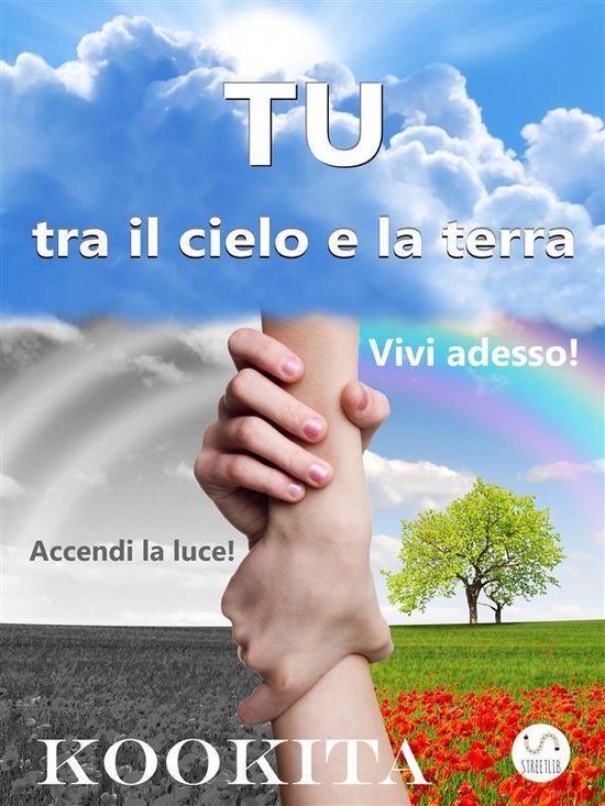 TU tra il cielo e la terra - cover