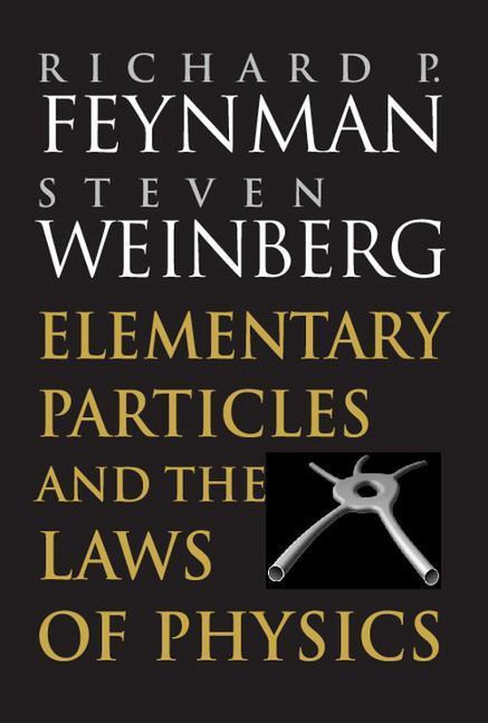 Elementary Particles and the Laws of Physics - cover