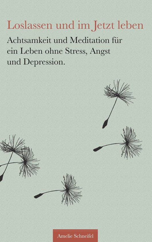 Loslassen und im Jetzt leben - cover