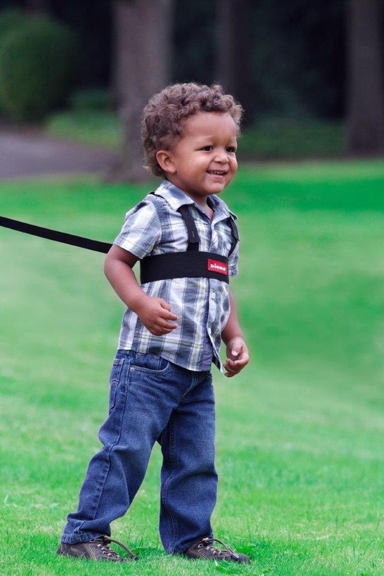 Diono - Sure Steps - Kindertuigje met looplijn - Looptuigje voor kinderen van 1-4 jaar | bol.com