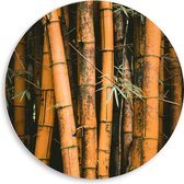 WallClassics - Cercle mural en panneau de mousse PVC - Troncs de bambou debout - Photo 50x50 cm sur cercle mural (avec système d'accrochage)