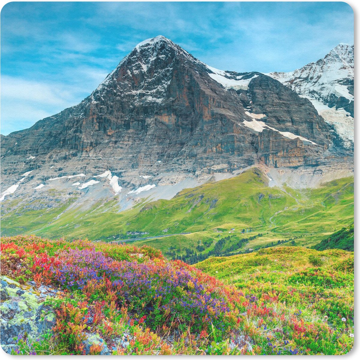 Muismat 20x20 cm - Mousepad Bloemen - Berg - Sneeuw - Landschap - Muismatten