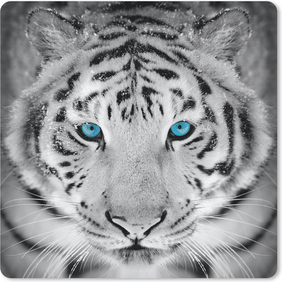 Muismat 20x20 cm - Mousepad Tijger - Winter - Dieren - Muismatten