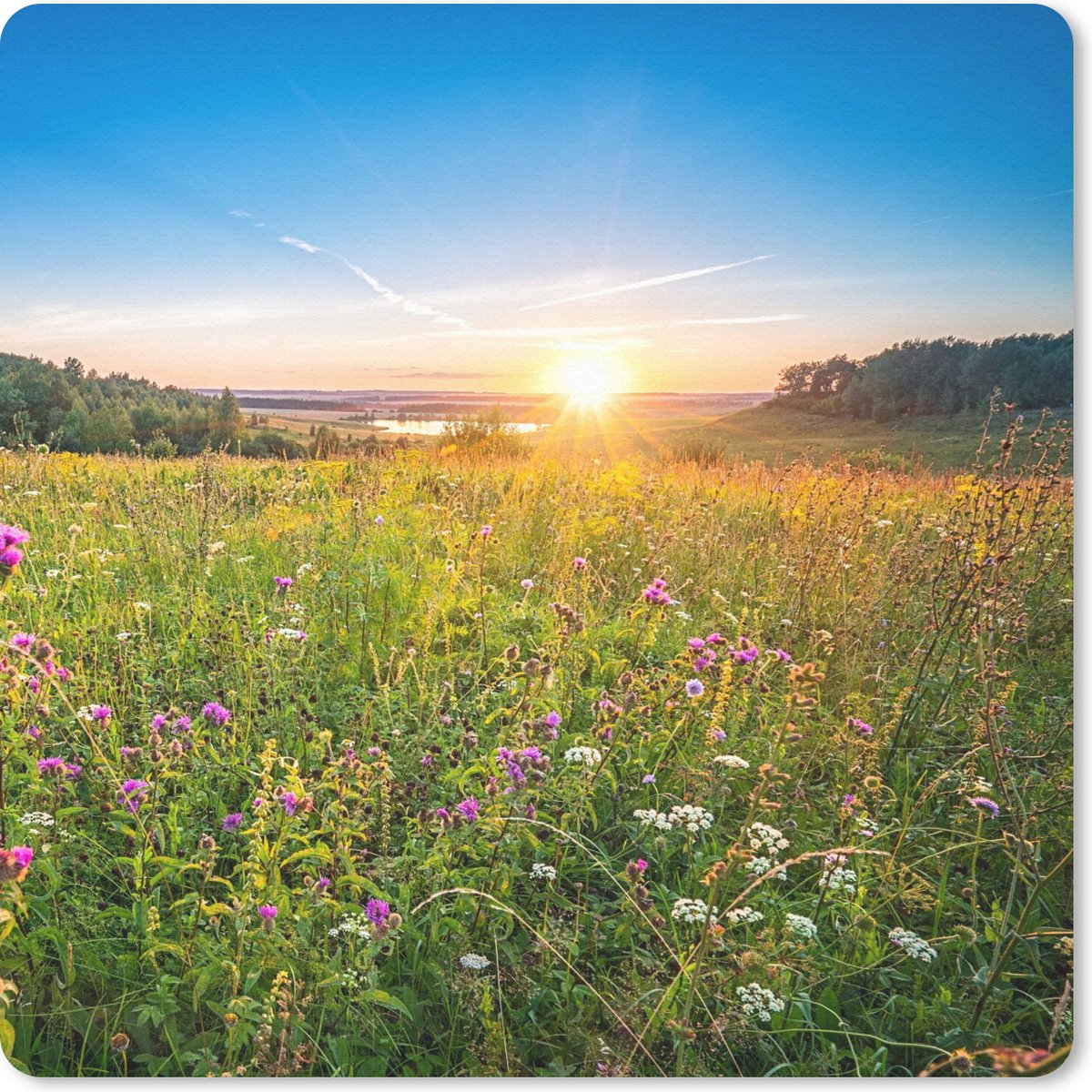 Muismat 30x30 cm - Mousepad Zon - Gras - Bloemen - Muismatten