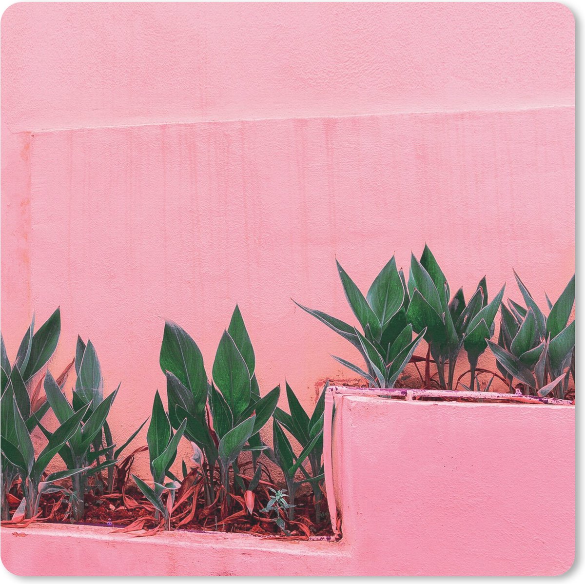 Muismat 20x20 cm - Mousepad Planten - Zomer - Verf - Muismatten