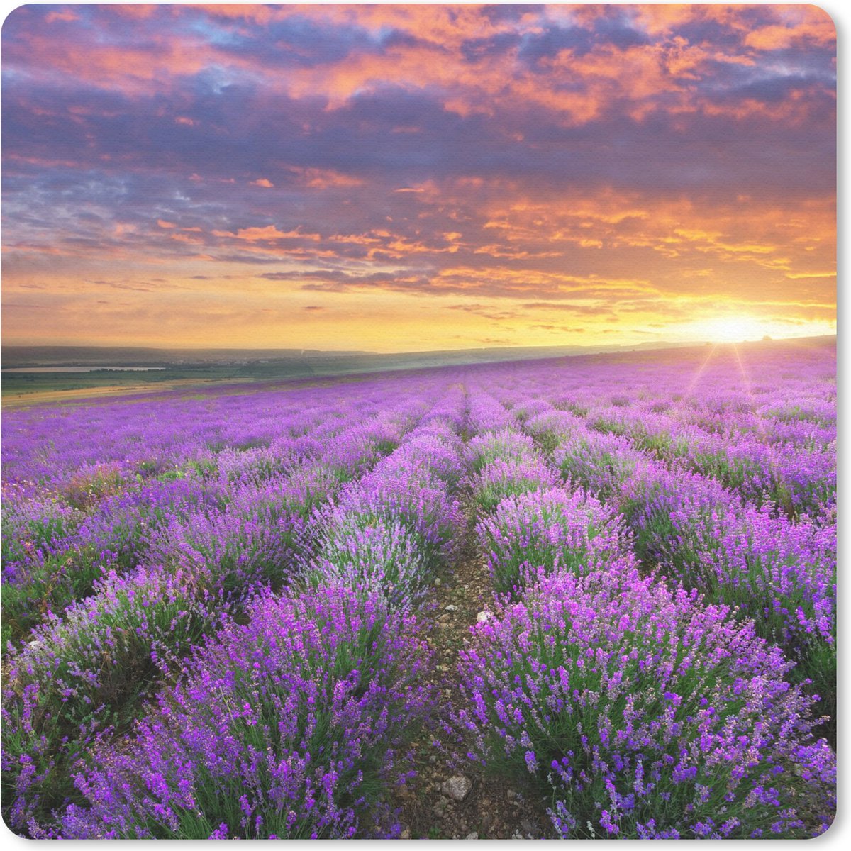 Muismat 30x30 cm - Mousepad Lavendel - Wolken - Lente - Muismatten