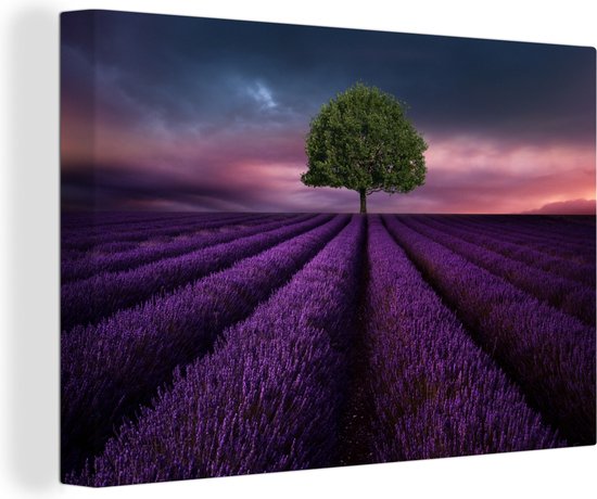 Toile Peinture Lavande - Arbre - Violet - 30x20 cm - Décoration murale