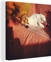 Canvas Schilderij Jack Russel hond aan het genieten - 90x90 cm - Wanddecoratie