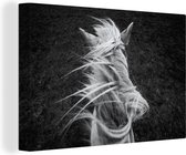 Canvas Schilderij Manenkam van een paard in zwart-wit - 30x20 cm - Wanddecoratie