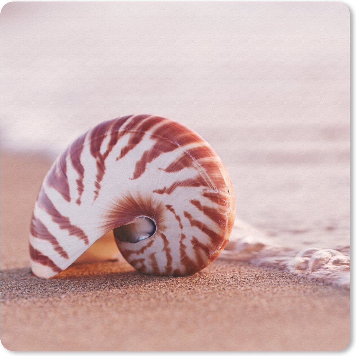 Muismat 30x30 cm - Mousepad Schelp - Strand - Zee - Zand - Muismatten