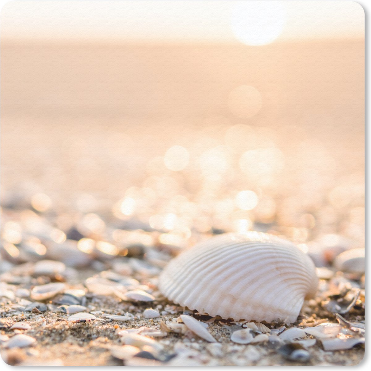 Muismat 20x20 cm - Mousepad Schelpen - Wit - Strand - Zomer - Muismatten