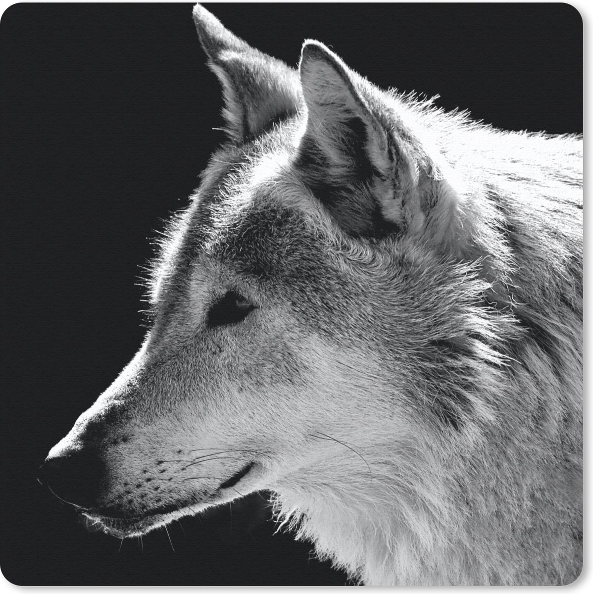 Muismat 30x30 cm - Mousepad Wilde dieren - Wolf - Zwart - Wit - Muismatten