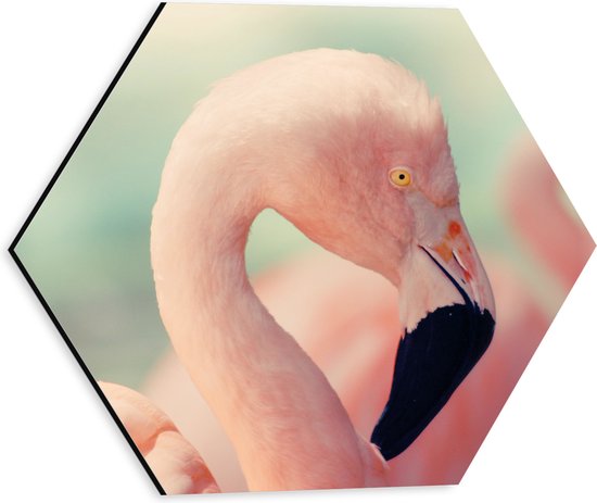 WallClassics - Dibond Hexagon - Hoofd van een Roze Flamingo - 30x26.1 cm Foto op Hexagon (Met Ophangsysteem)