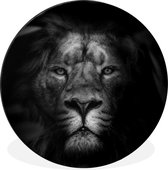 WallCircle - Cercle Mural - Cercle Mural - Animaux - Lion - Animaux Sauvages - Zwart - Wit - Aluminium - Dibond - 60x60 cm - Intérieur et Extérieur