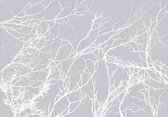 Fotobehang - White Trees.