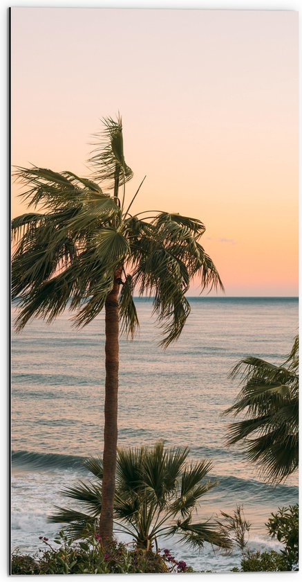 WallClassics - Dibond - Hoge Palmbomen bij Zee - 50x100 cm Foto op Aluminium (Wanddecoratie van metaal)