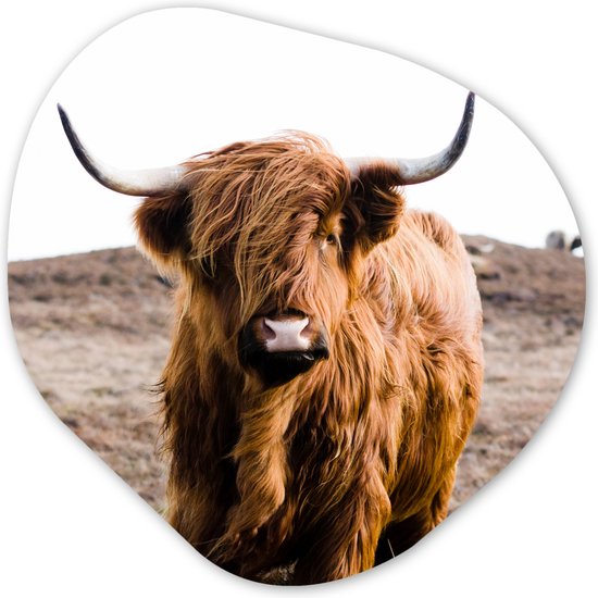 Organische Wanddecoratie - Kunststof Muurdecoratie- Organisch Schilderij - Schotse hooglander - Landschap - Koe - Bruin - Dieren - Natuur- 60x60 cm - Organische spiegel vorm op kunststof