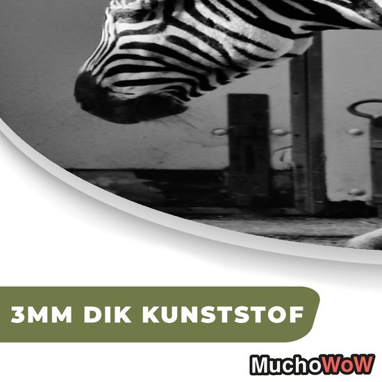 Décoration murale Organique - Décoration Décoration murale Plastique - Peinture Organique - Zebra - Mur - Porte - Animaux - Zwart et blanc - 40x40 cm - Forme miroir asymétrique sur plastique