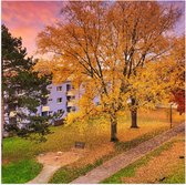 WallClassics - Poster Glanzend – Herfstbomen in Dorpje - 50x50 cm Foto op Posterpapier met Glanzende Afwerking