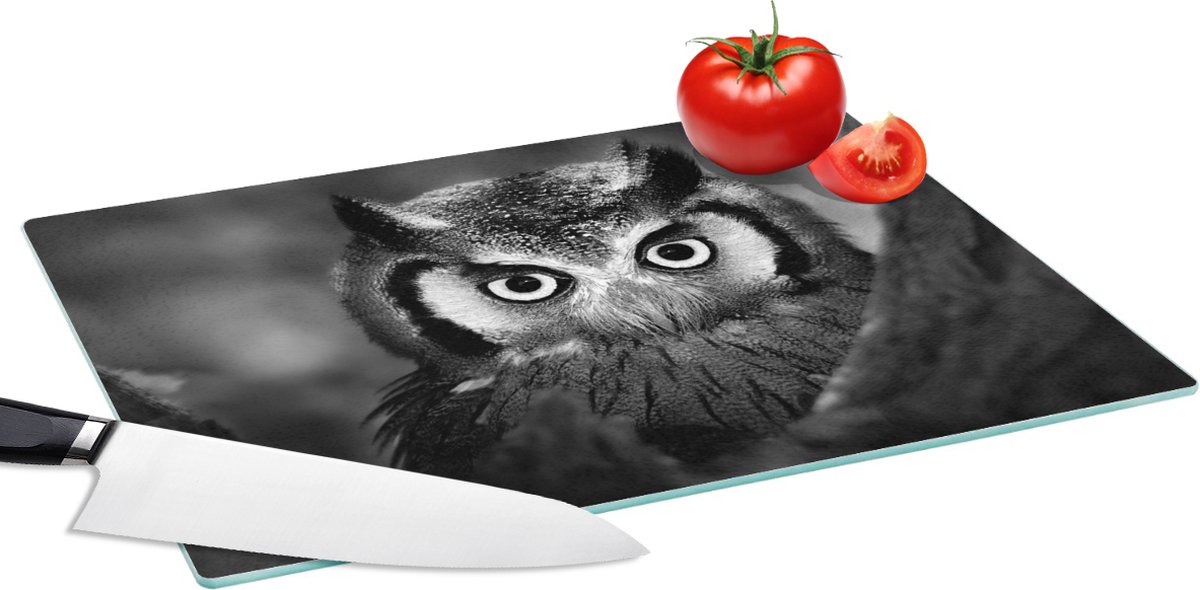 Glazen Snijplank - 39x28 - Vogel - Uil - Portret- Zwart - Wit - Snijplanken Glas