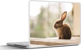 Laptop sticker - 12.3 inch - Konijn - Baby - Dier - 30x22cm - Laptopstickers - Laptop skin - Cover