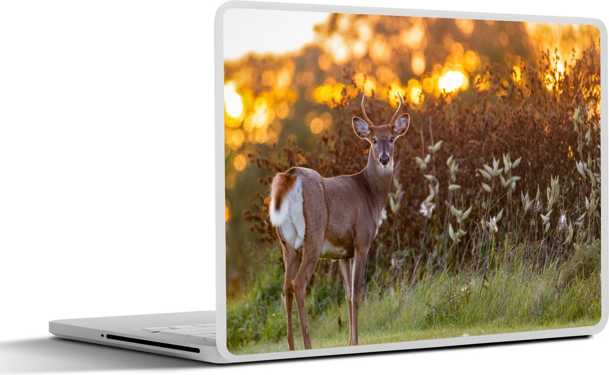 Laptop sticker - 13.3 inch - Hert - Planten - Zonsondergang - Wilde dieren - Natuur - 31x22,5cm - Laptopstickers - Laptop skin - Cover