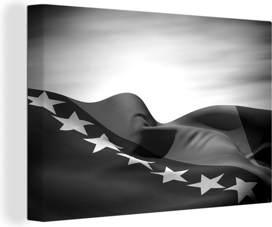 Canvas Schilderij Een illustratie van de vlag van Bosnië en Herzegovina - zwart wit - 30x20 cm - Wanddecoratie