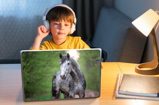 Sticker pour ordinateur portable - 12,3 pouces - Cheval - Forêt - Portrait