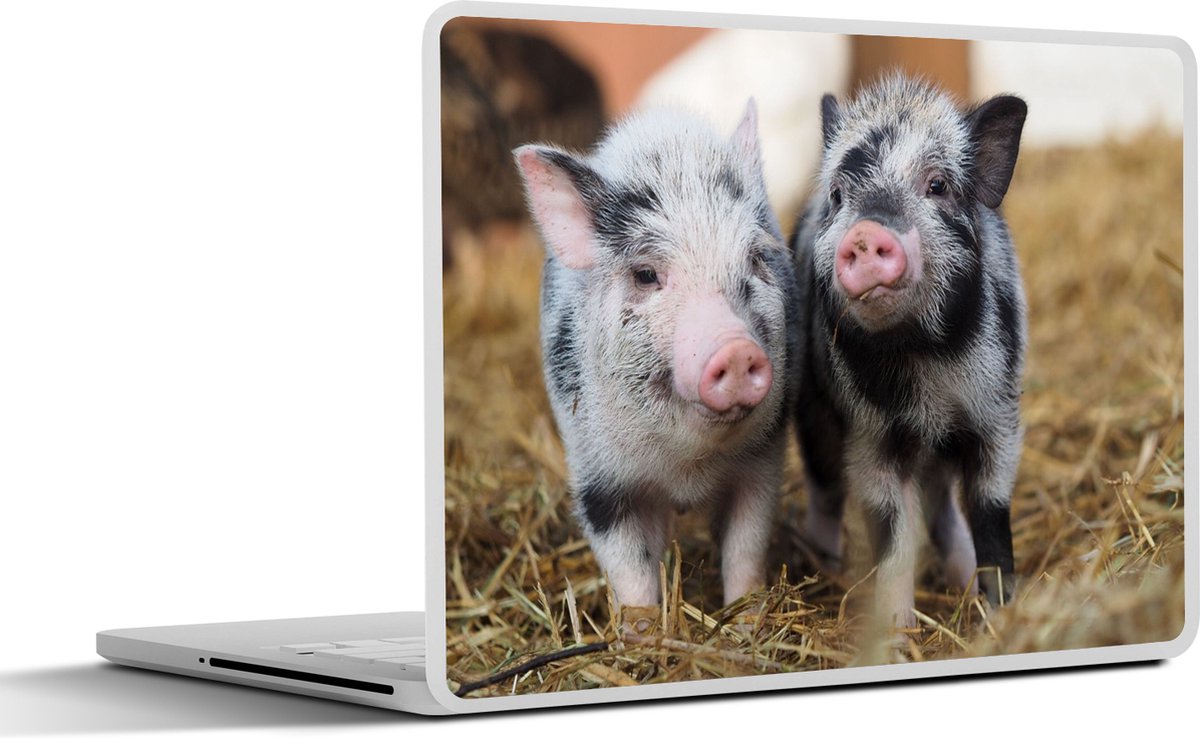 Laptop sticker - 15.6 inch - Varken - Dieren - Varkentje - 36x27,5cm - Laptopstickers - Laptop skin - Cover