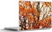 Laptop sticker - 15.6 inch - Bos - Herfst - Seizoenen - 36x27,5cm - Laptopstickers - Laptop skin - Cover